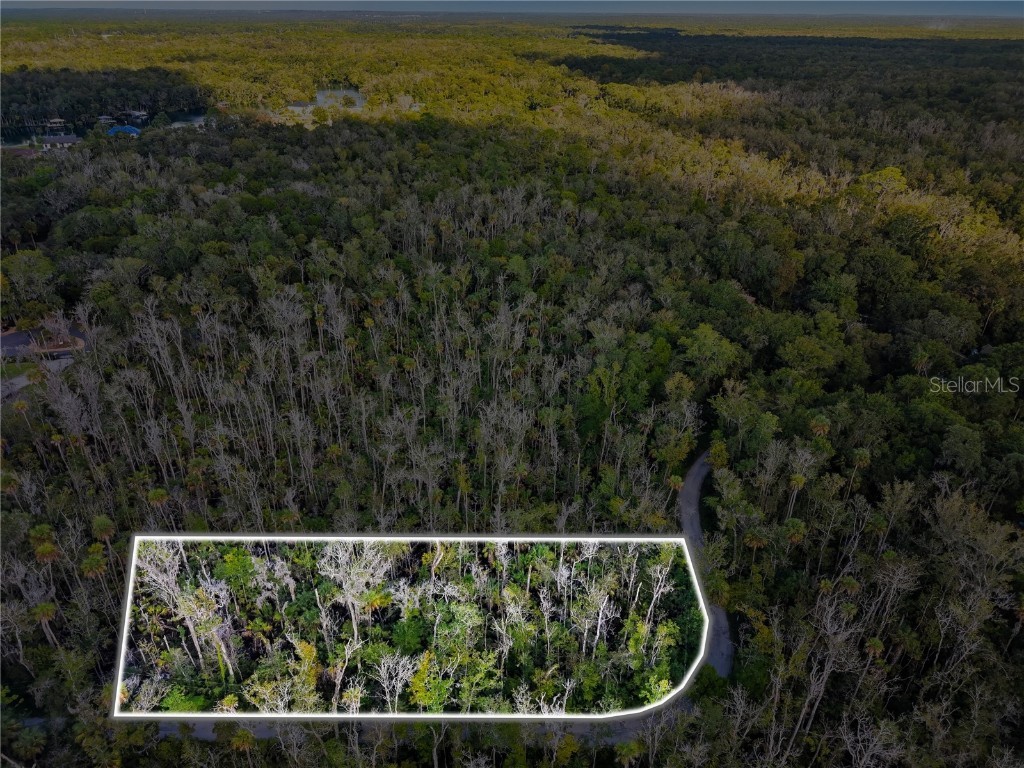 4441 S Lewoods Drive Homosassa FL 34448 TB8430674 image6