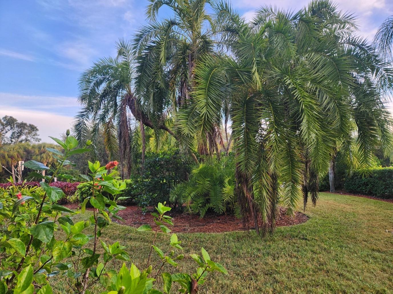 4442 Corso Venetia Boulevard #A14 Venice FL 34293 N6144002 image8