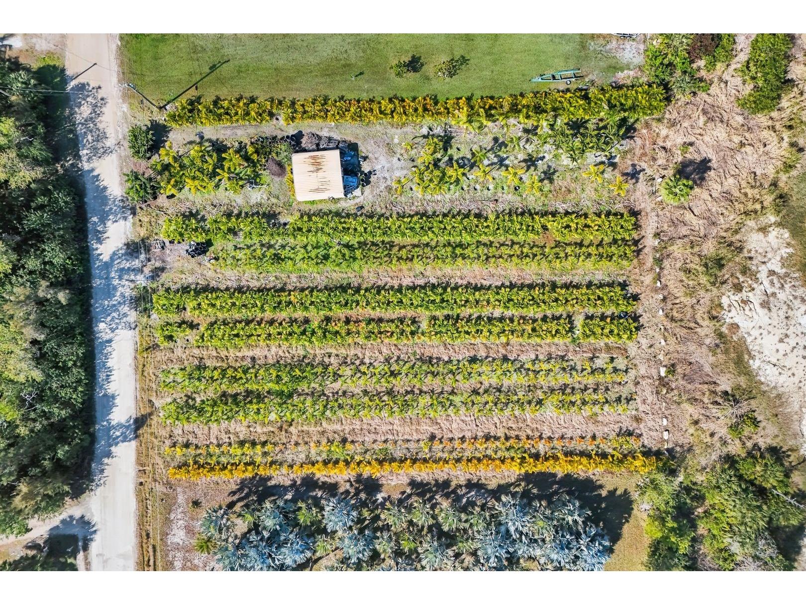 4442 Courtney Road Saint James City FL 33956 C7521746 image9