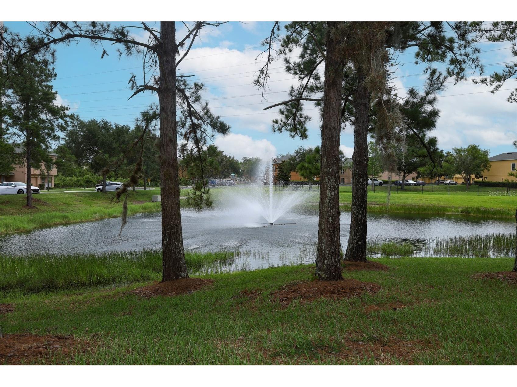 4442 Maidenhair Cove Oviedo FL 32765 O6415066 image38