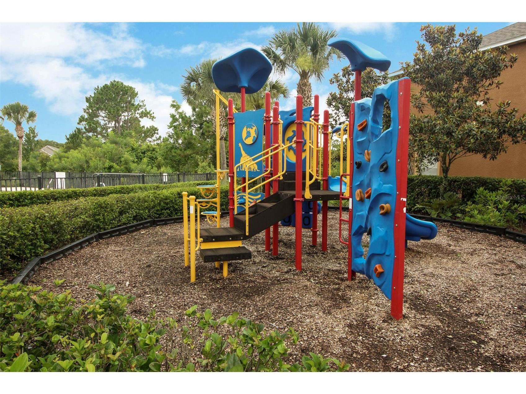 4442 Maidenhair Cove Oviedo FL 32765 O6415066 image48