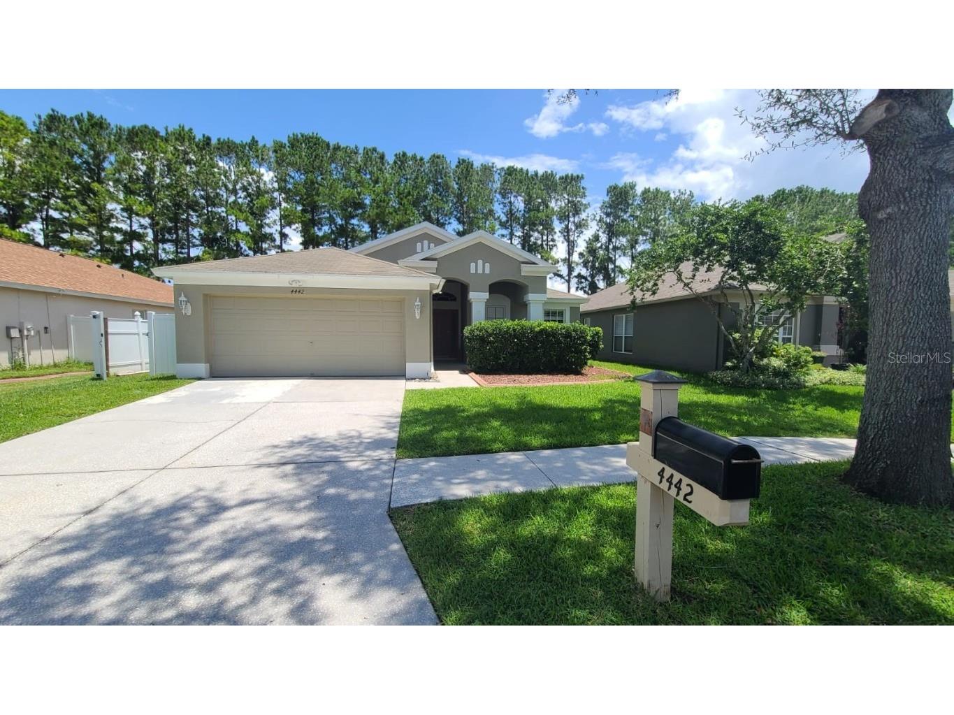 4442 Marchmont Boulevard Land O Lakes FL 34638 U8208267 image1