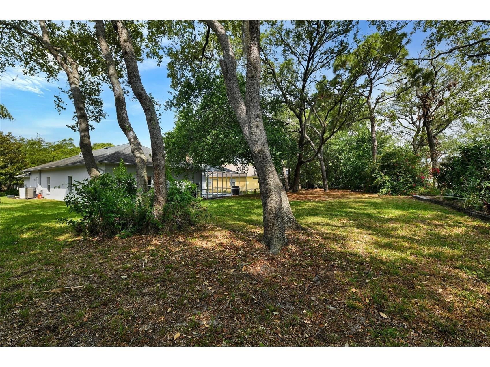 4443 Glenbrook Lane Palm Harbor FL 34683 TB8507178 image38