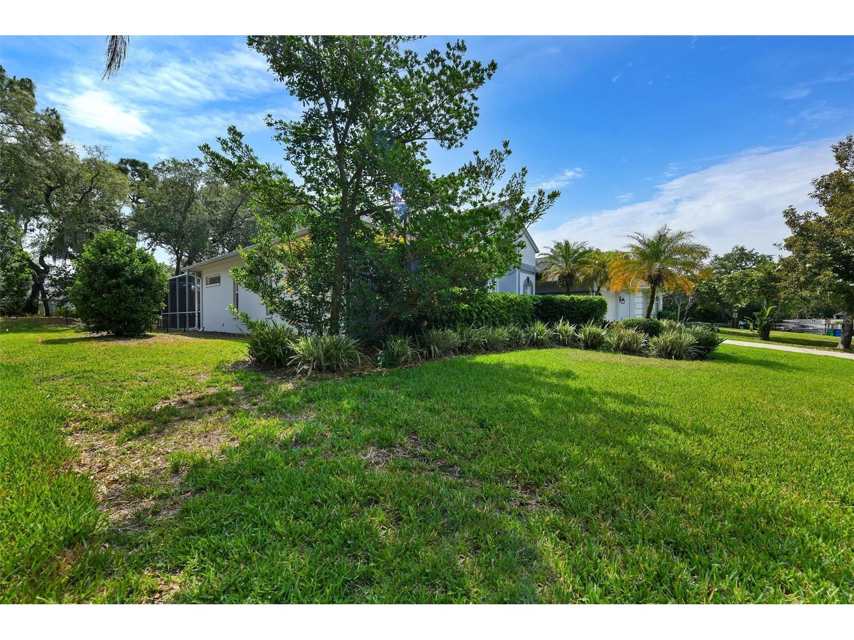 4443 Glenbrook Lane Palm Harbor FL 34683 TB8507178 image39