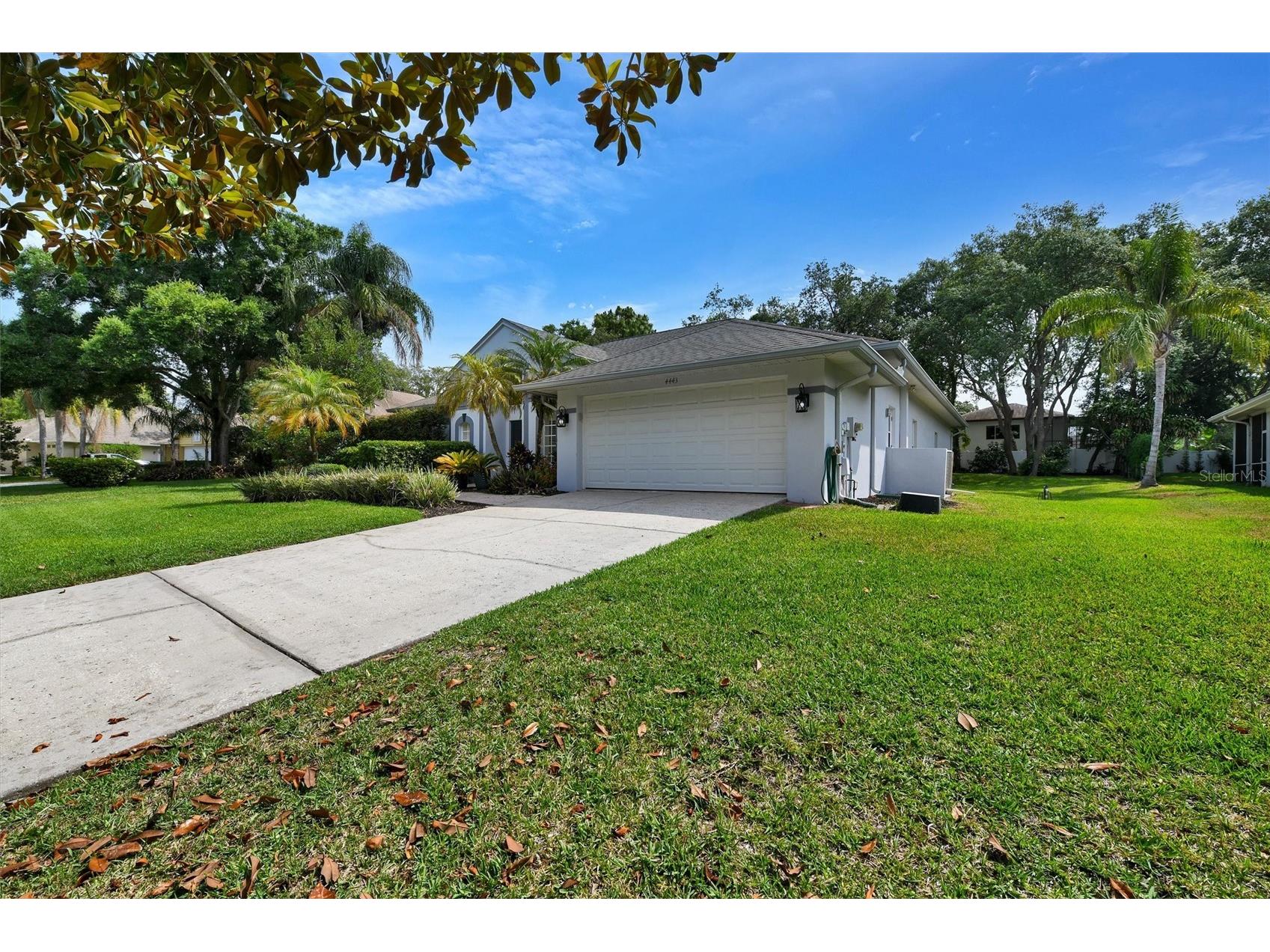 4443 Glenbrook Lane Palm Harbor FL 34683 TB8507178 image40