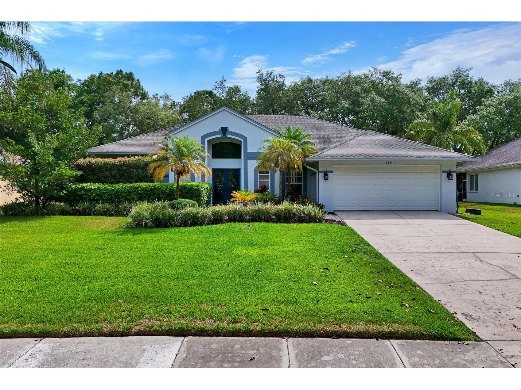 4443 Glenbrook Lane Palm Harbor FL 34683 TB8507178 image42