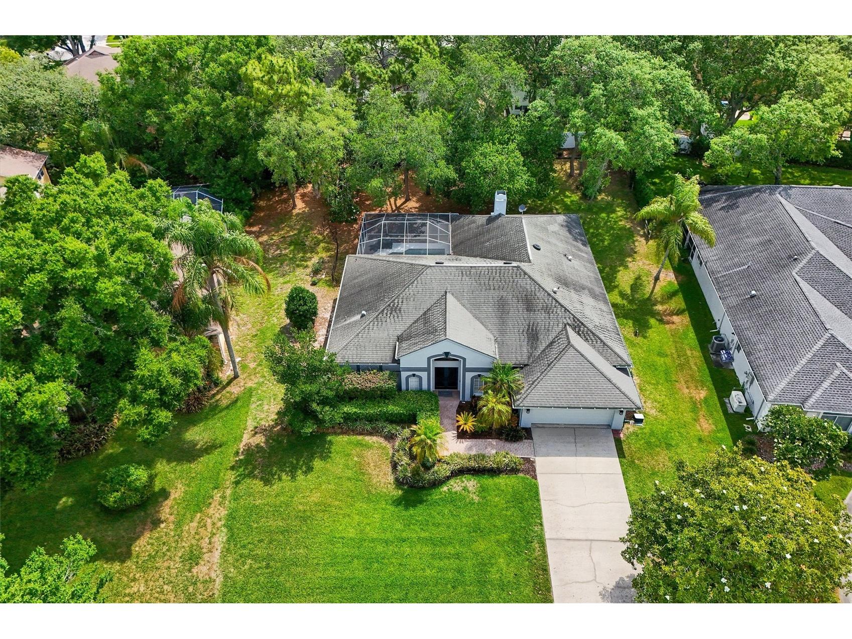 4443 Glenbrook Lane Palm Harbor FL 34683 TB8507178 image43