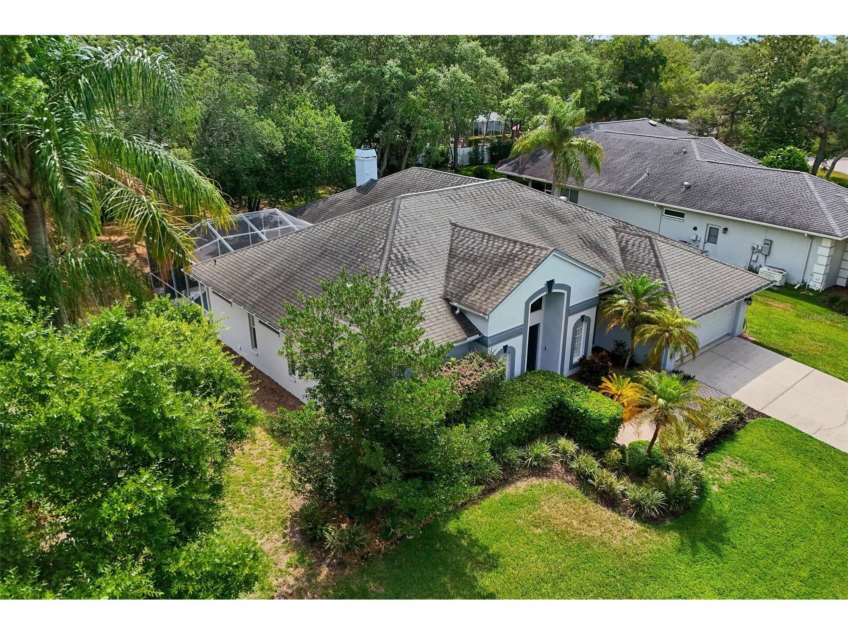 4443 Glenbrook Lane Palm Harbor FL 34683 TB8507178 image45