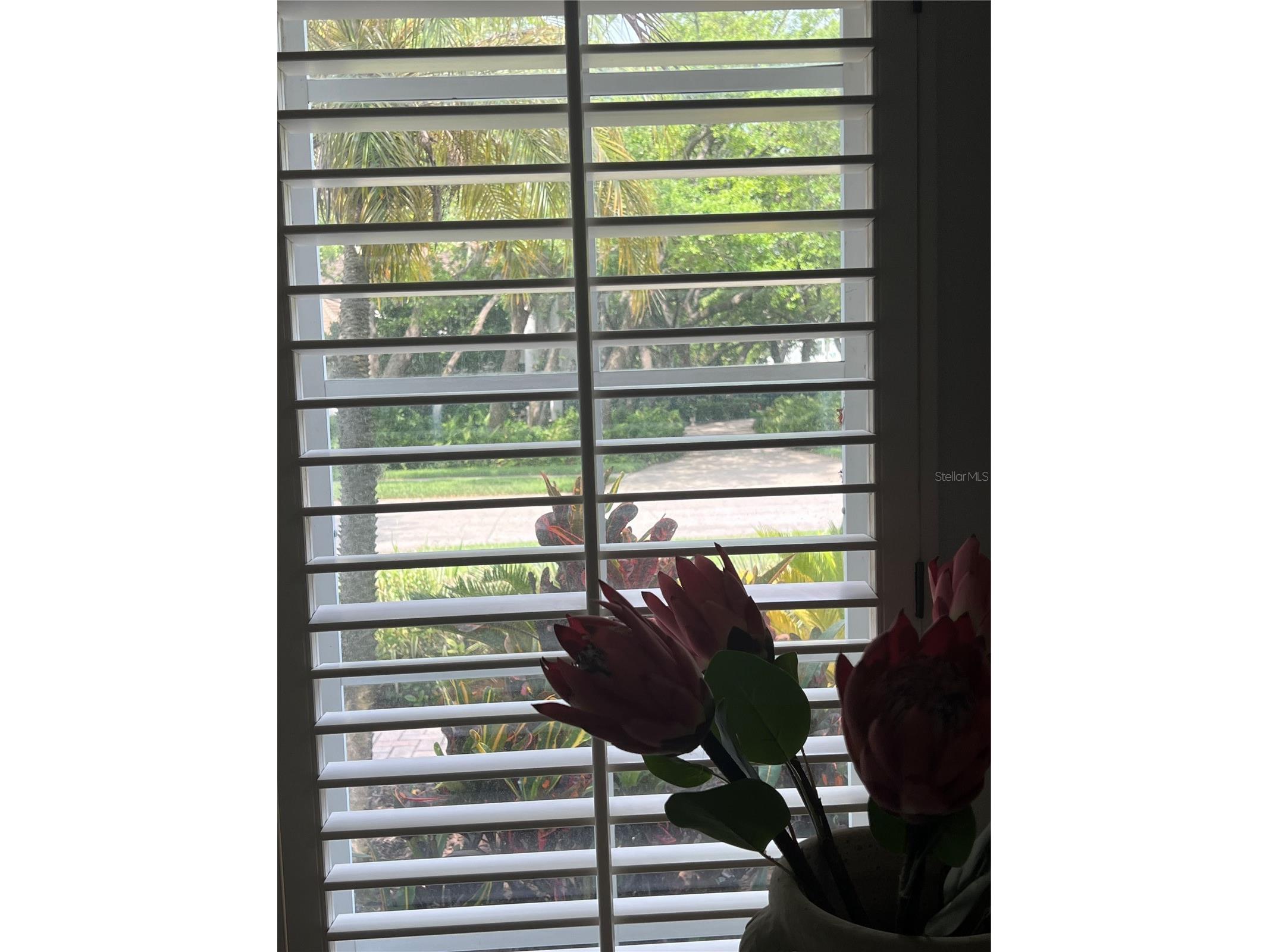 4443 Glenbrook Lane Palm Harbor FL 34683 TB8507178 image5