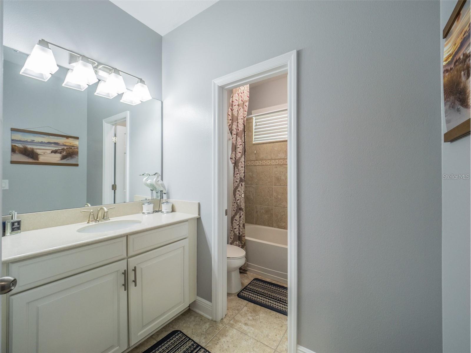 4443 Pine Gold Avenue Apopka FL 32712 O6384450 image36