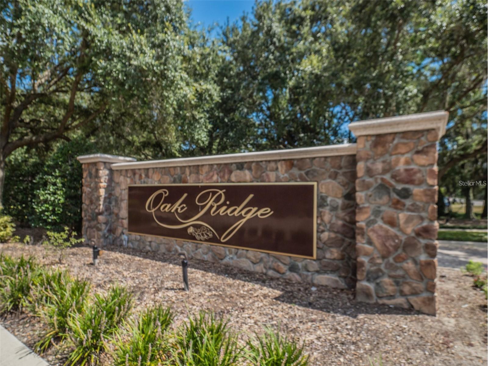 4443 Pine Gold Avenue Apopka FL 32712 O6384450 image51