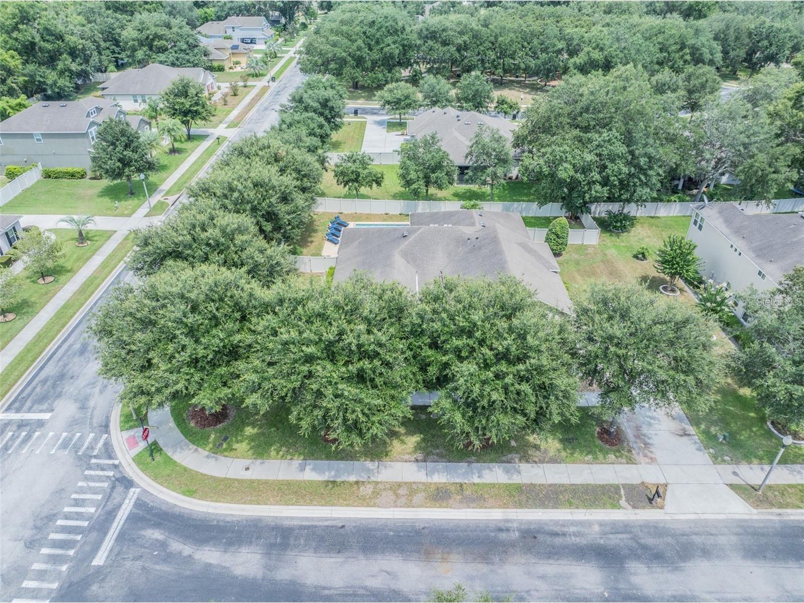 4443 Pine Gold Avenue Apopka FL 32712 O6384450 image53