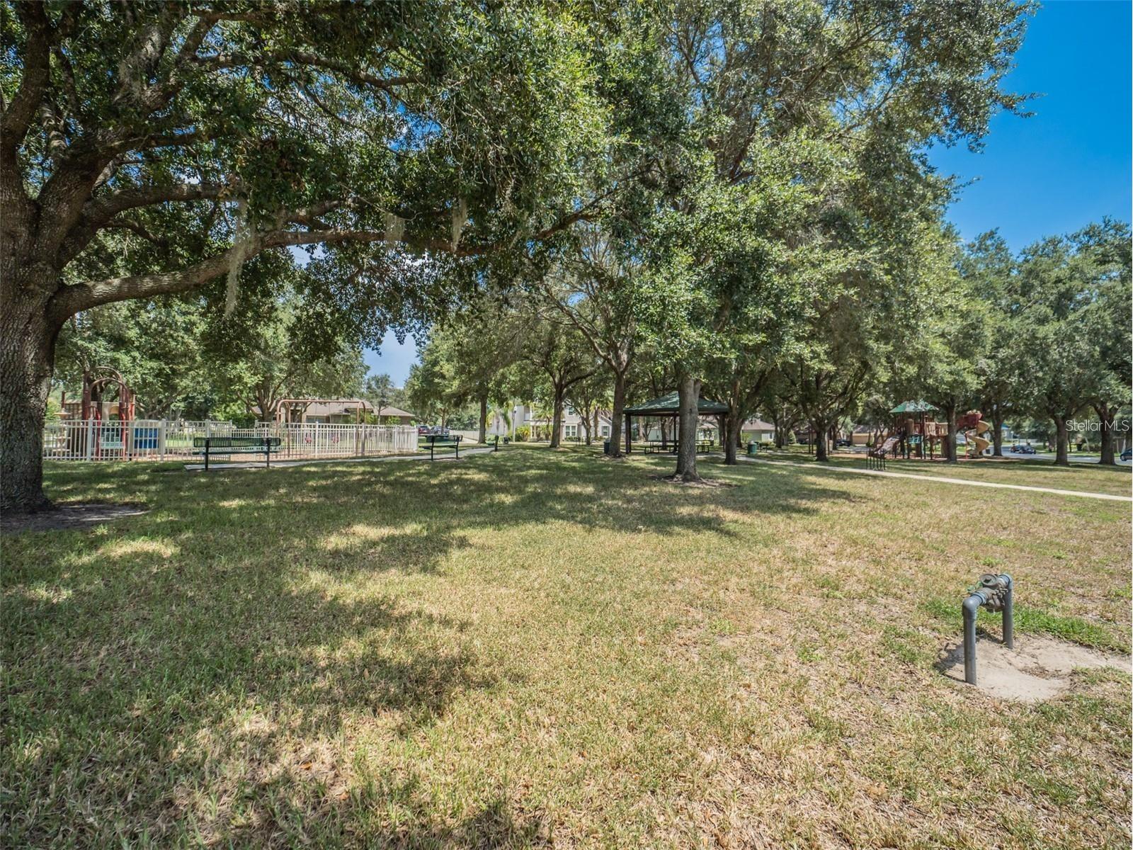 4443 Pine Gold Avenue Apopka FL 32712 O6384450 image59