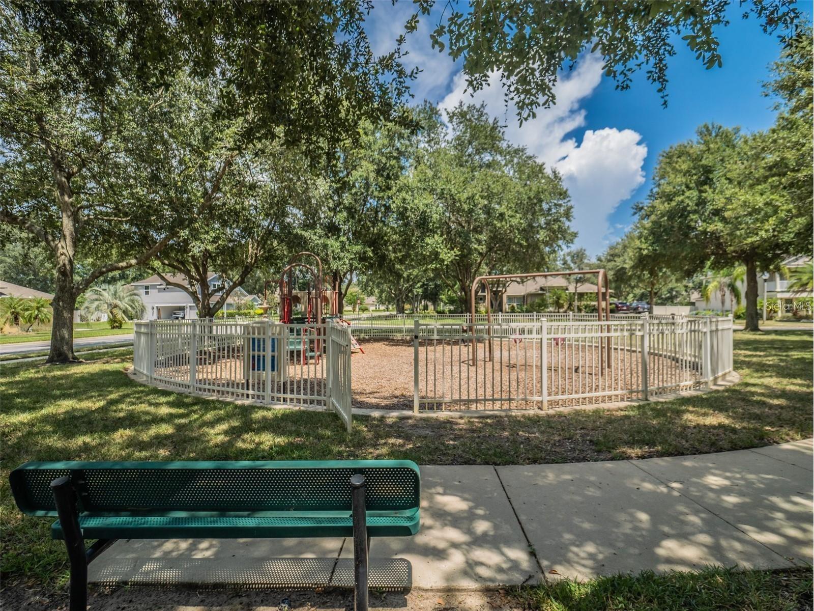 4443 Pine Gold Avenue Apopka FL 32712 O6384450 image60