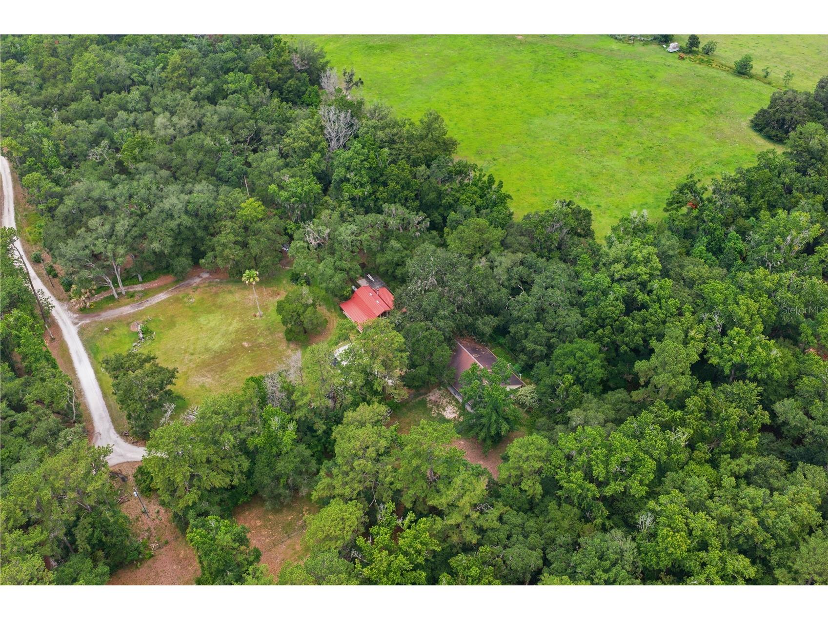 4444 Raines Road Brooksville FL 34604 W7887207 image61