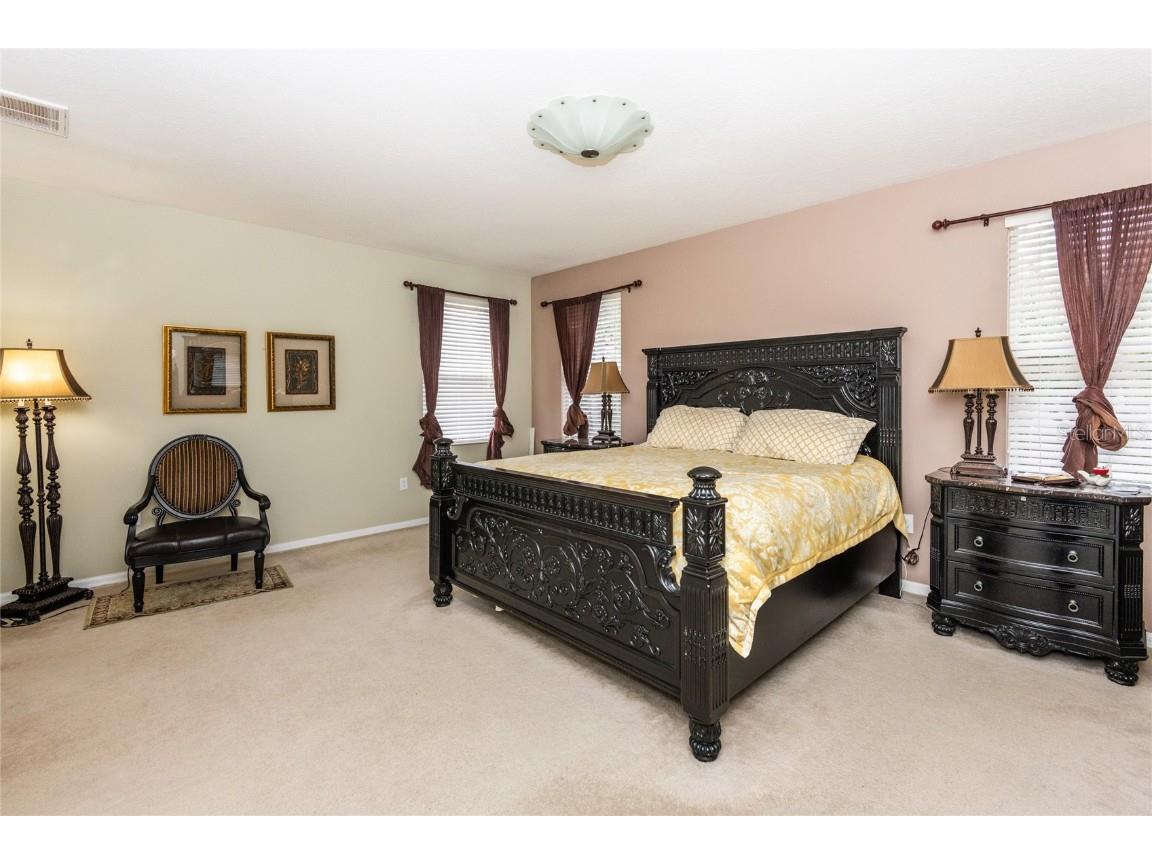 4445 Amberly Oaks Court Tampa FL 33614 TB8325959 image16