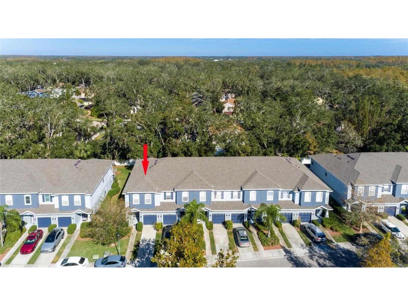 4445 Amberly Oaks Court Tampa FL 33614 TB8325959 image26