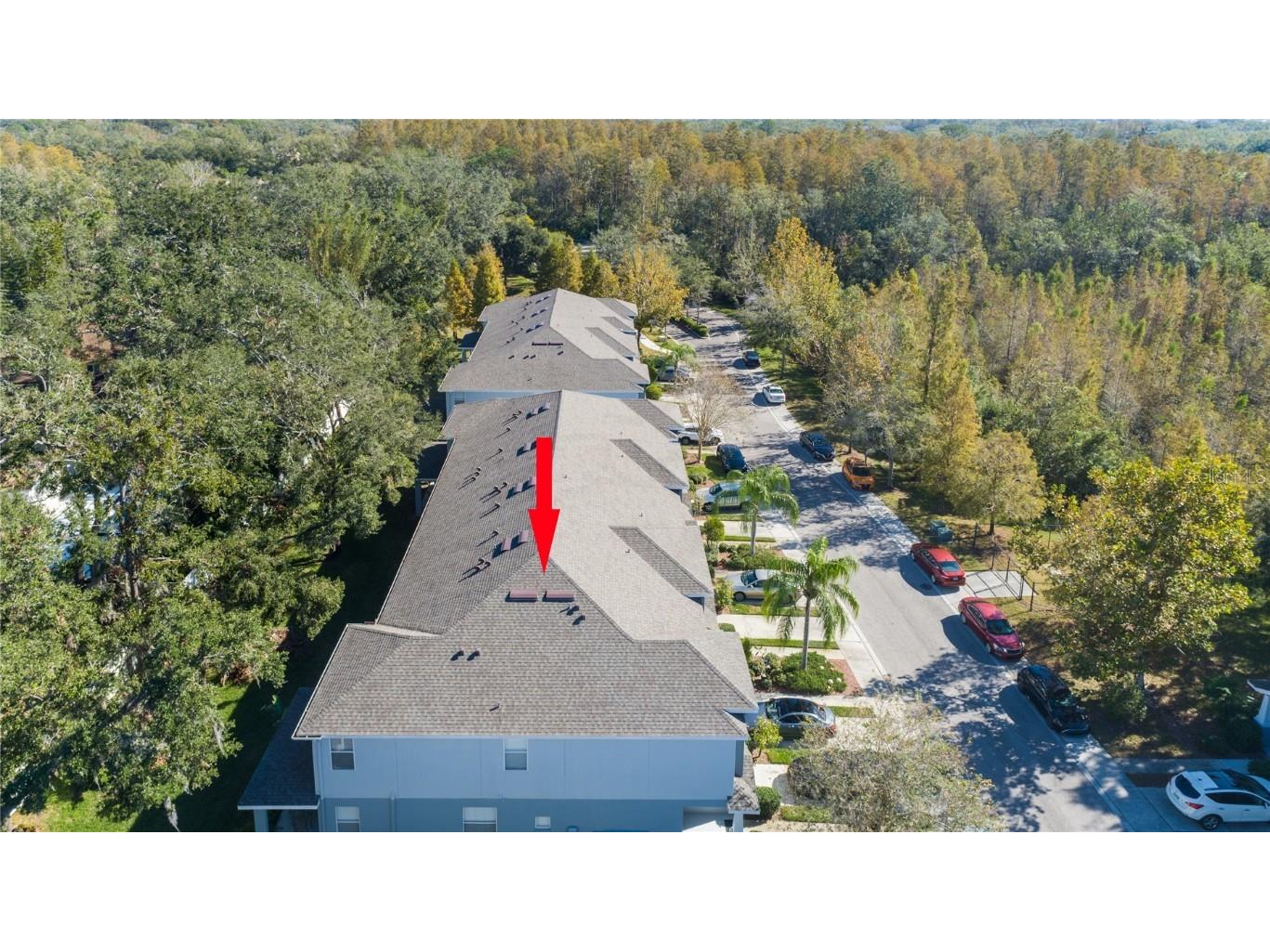 4445 Amberly Oaks Court Tampa FL 33614 TB8325959 image27