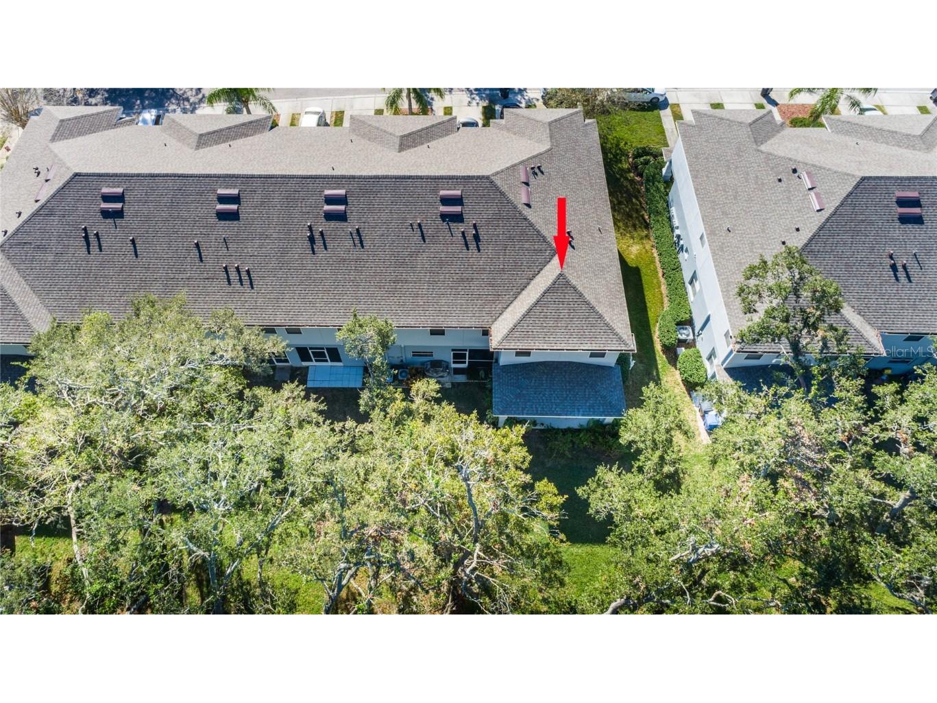 4445 Amberly Oaks Court Tampa FL 33614 TB8325959 image28