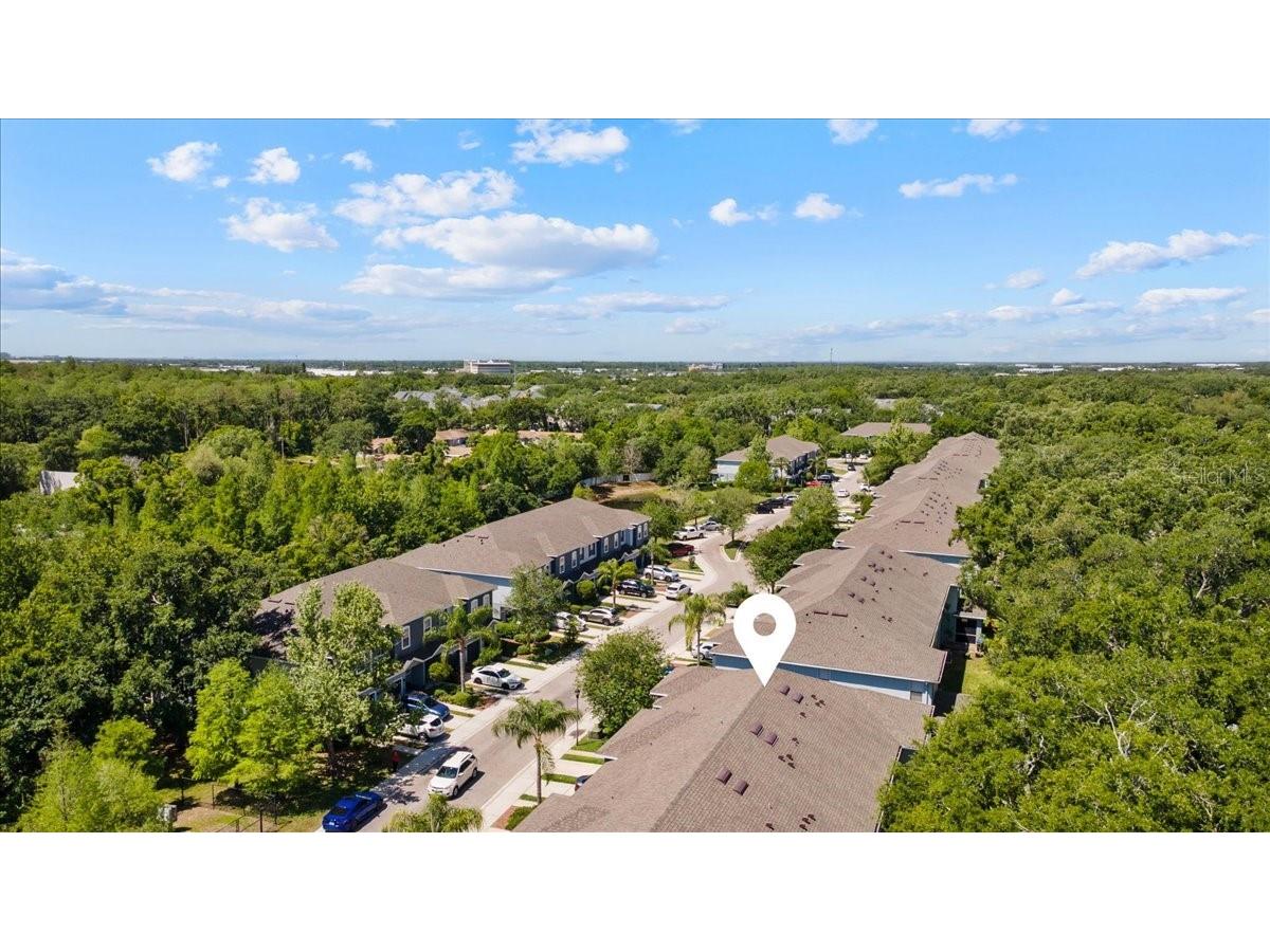 4445 Amberly Oaks Court Tampa FL 33614 TB8497775 image10