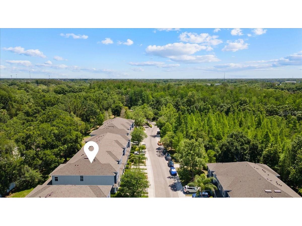 4445 Amberly Oaks Court Tampa FL 33614 TB8497775 image11