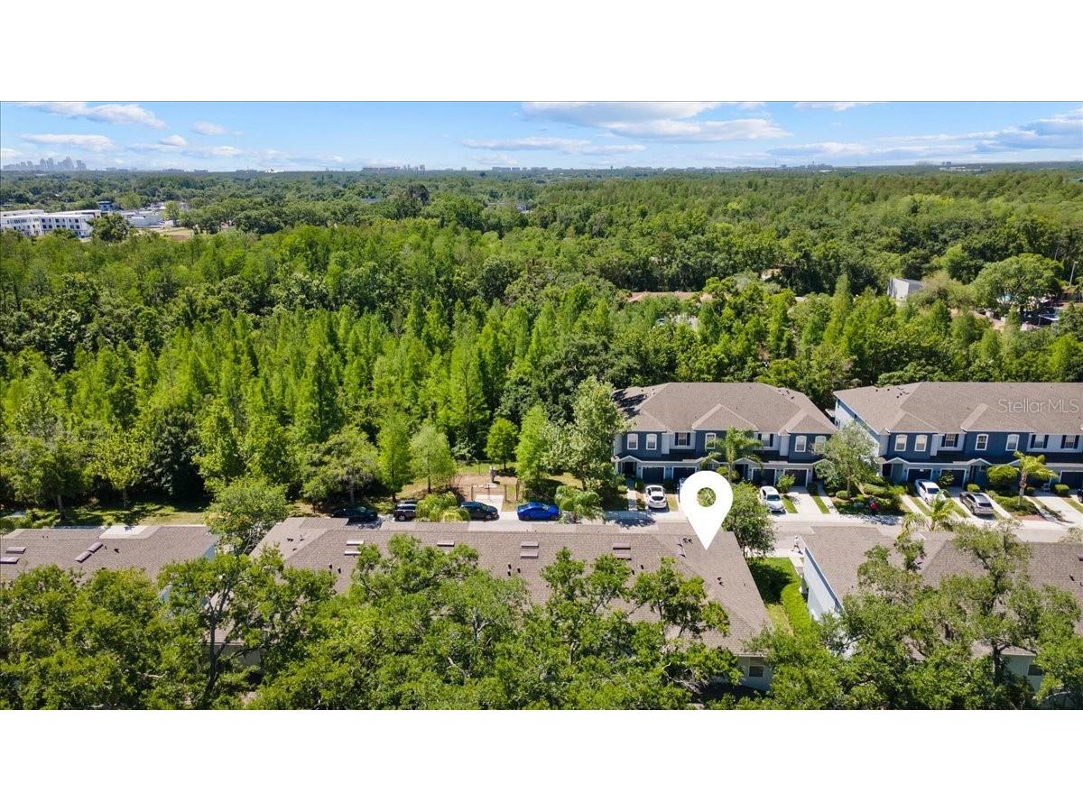 4445 Amberly Oaks Court Tampa FL 33614 TB8497775 image12