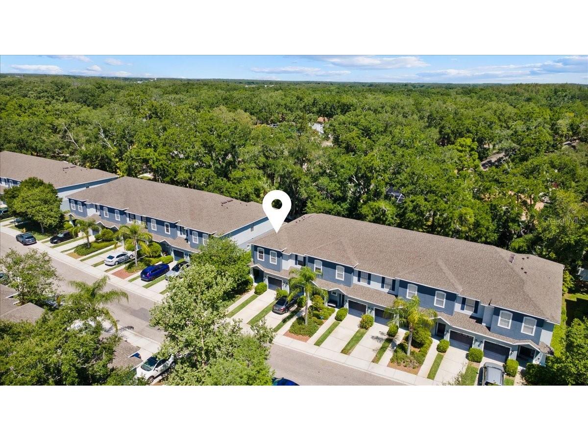4445 Amberly Oaks Court Tampa FL 33614 TB8497775 image19