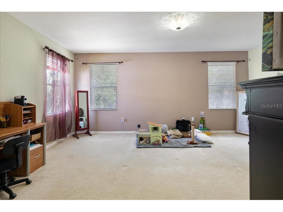 4445 Amberly Oaks Court Tampa FL 33614 TB8497775 image32