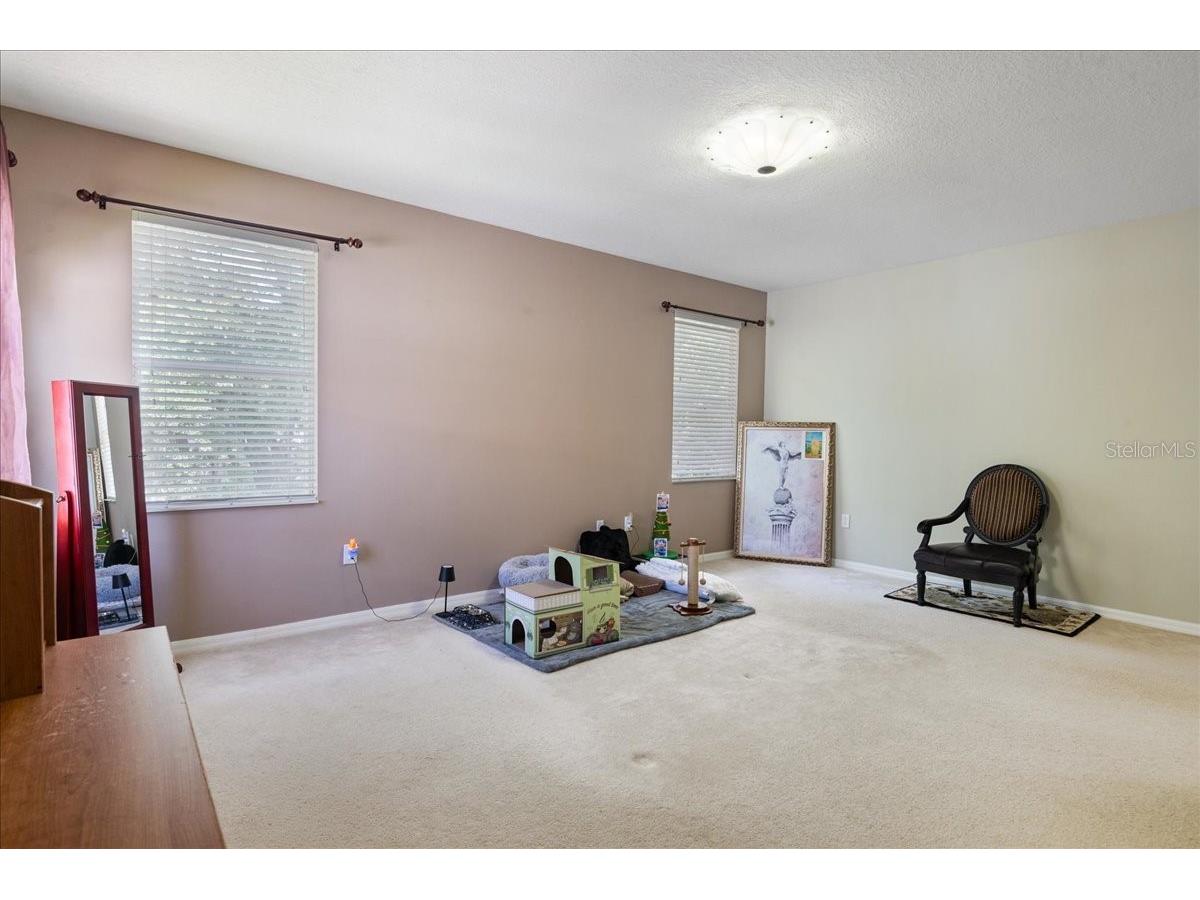4445 Amberly Oaks Court Tampa FL 33614 TB8497775 image33