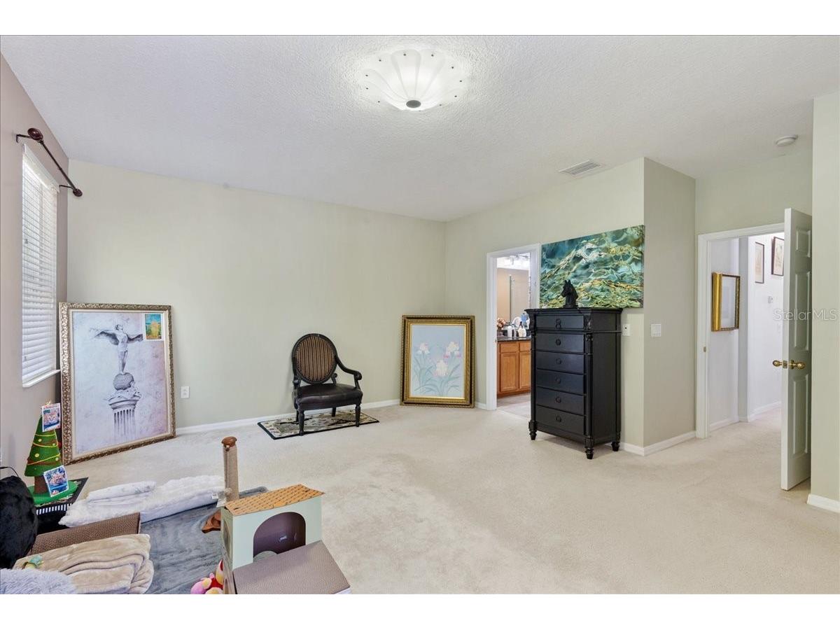 4445 Amberly Oaks Court Tampa FL 33614 TB8497775 image34