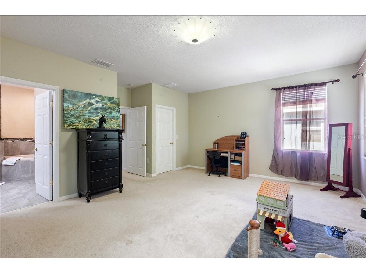 4445 Amberly Oaks Court Tampa FL 33614 TB8497775 image35