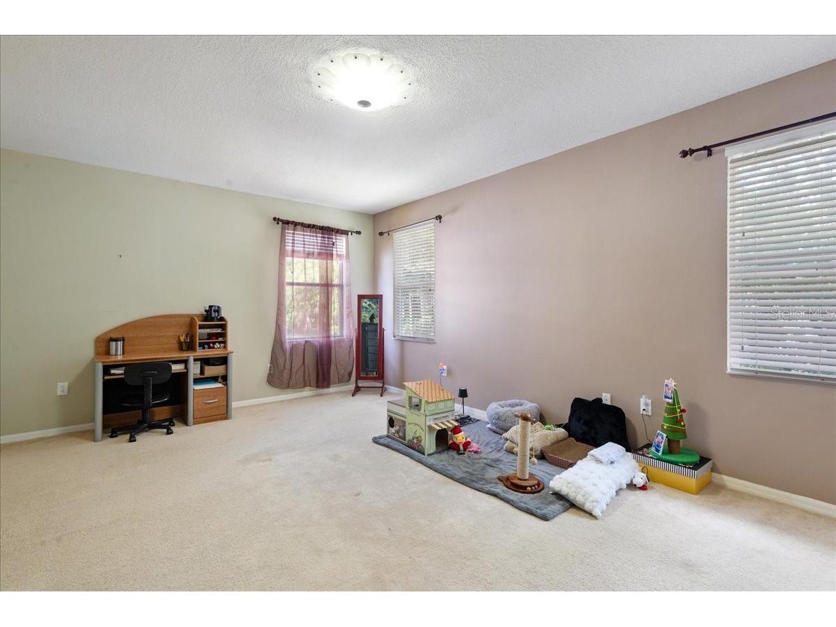 4445 Amberly Oaks Court Tampa FL 33614 TB8497775 image36