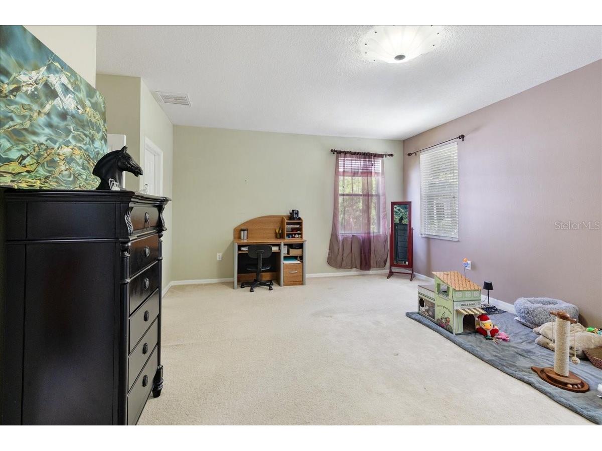 4445 Amberly Oaks Court Tampa FL 33614 TB8497775 image37