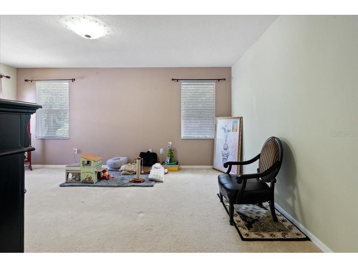 4445 Amberly Oaks Court Tampa FL 33614 TB8497775 image41