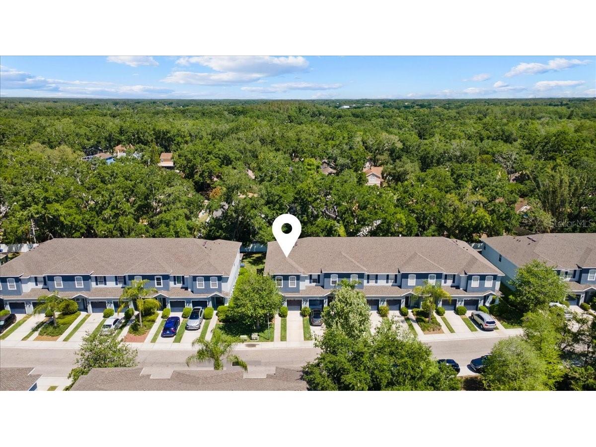 4445 Amberly Oaks Court Tampa FL 33614 TB8497775 image7