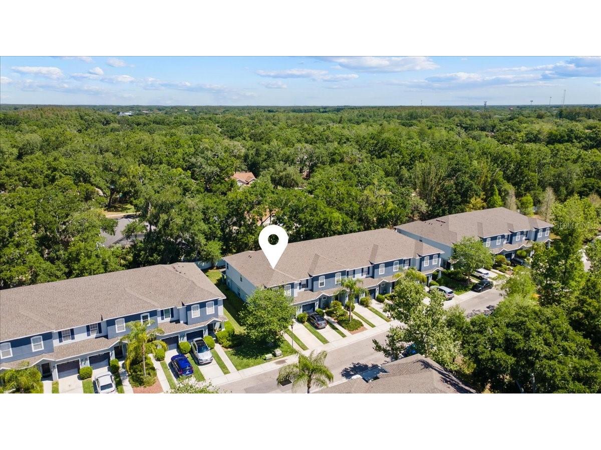 4445 Amberly Oaks Court Tampa FL 33614 TB8497775 image8