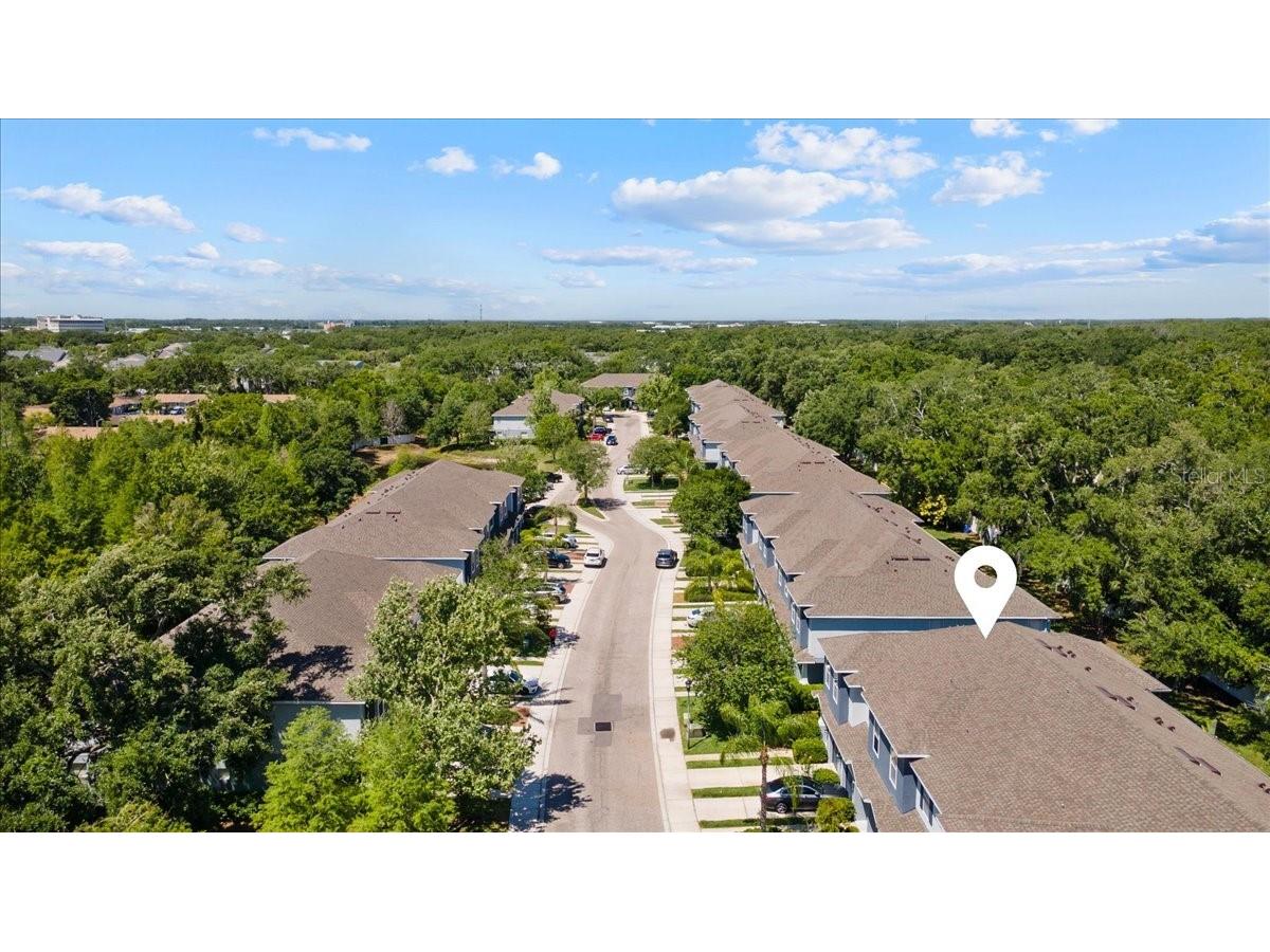 4445 Amberly Oaks Court Tampa FL 33614 TB8497775 image9