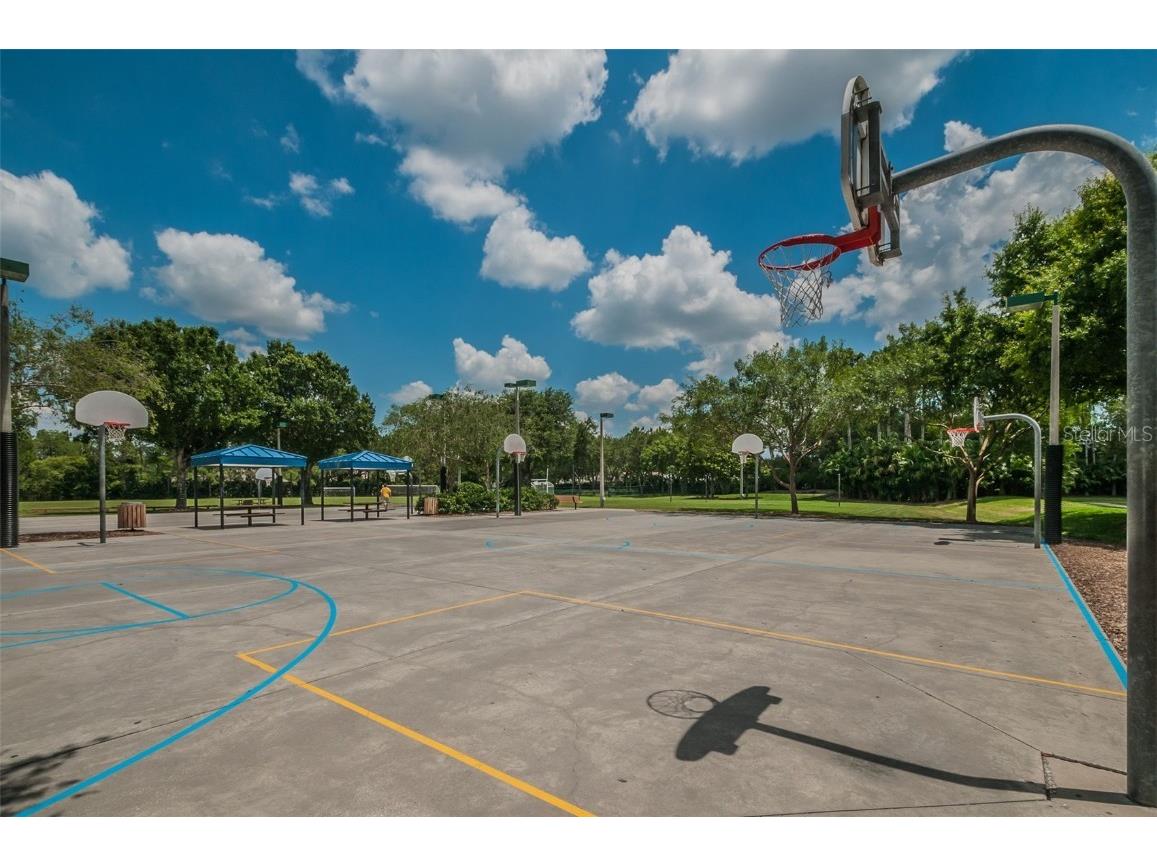 4445 Lansbrook Parkway Palm Harbor FL 34685 - LAKE TARPON U8226327 image15