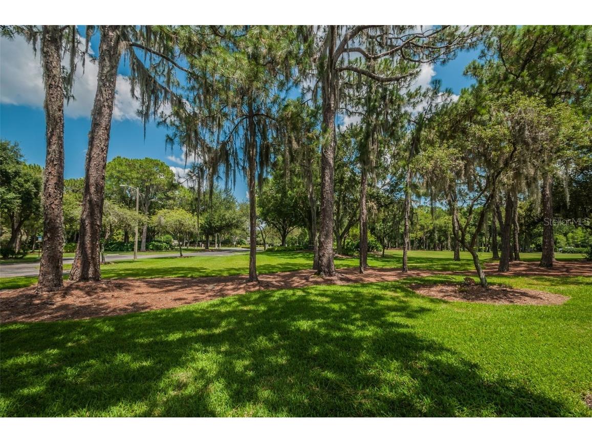 4445 Lansbrook Parkway Palm Harbor FL 34685 - LAKE TARPON U8226327 image22
