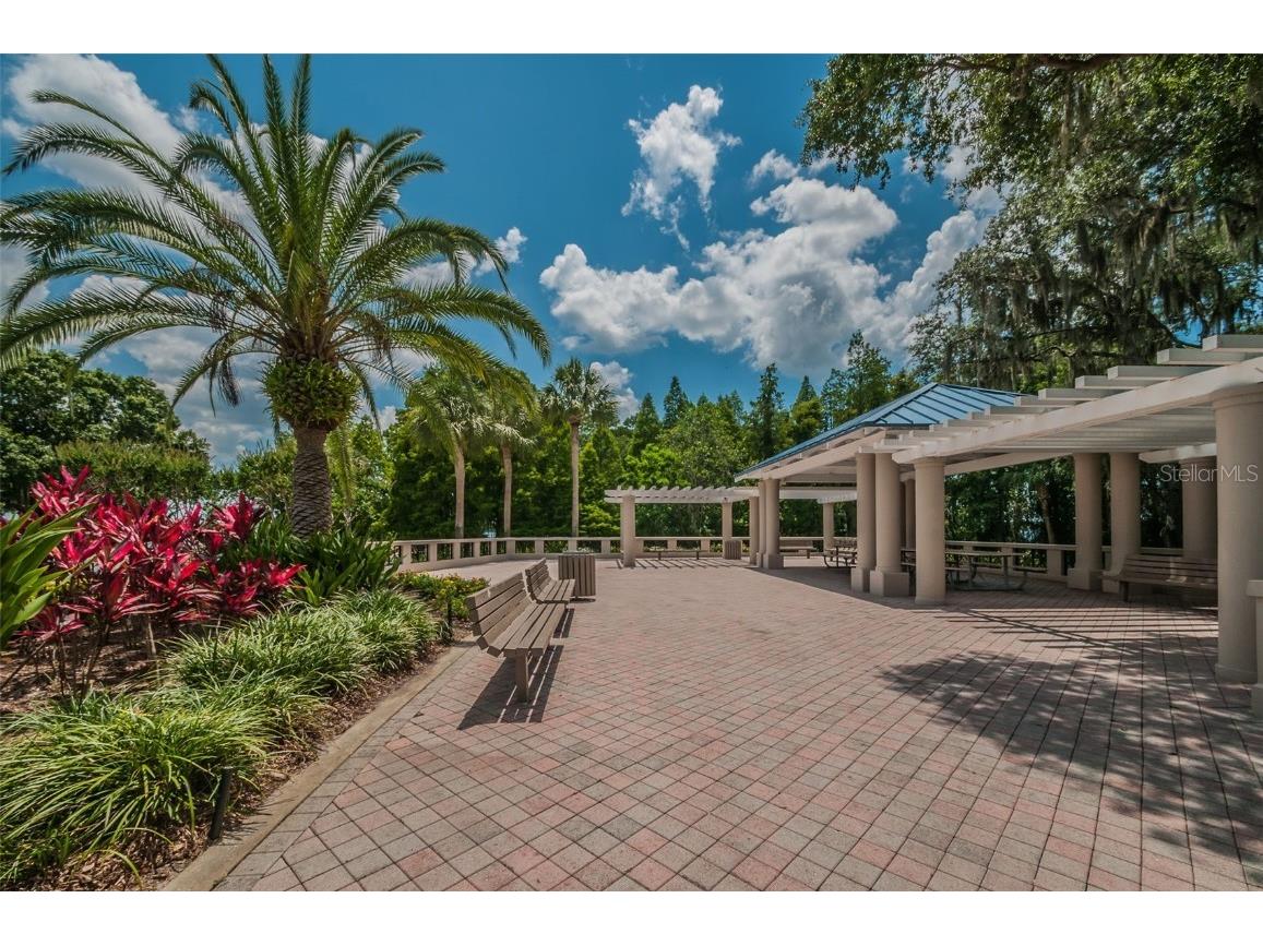 4445 Lansbrook Parkway Palm Harbor FL 34685 - LAKE TARPON U8226327 image23