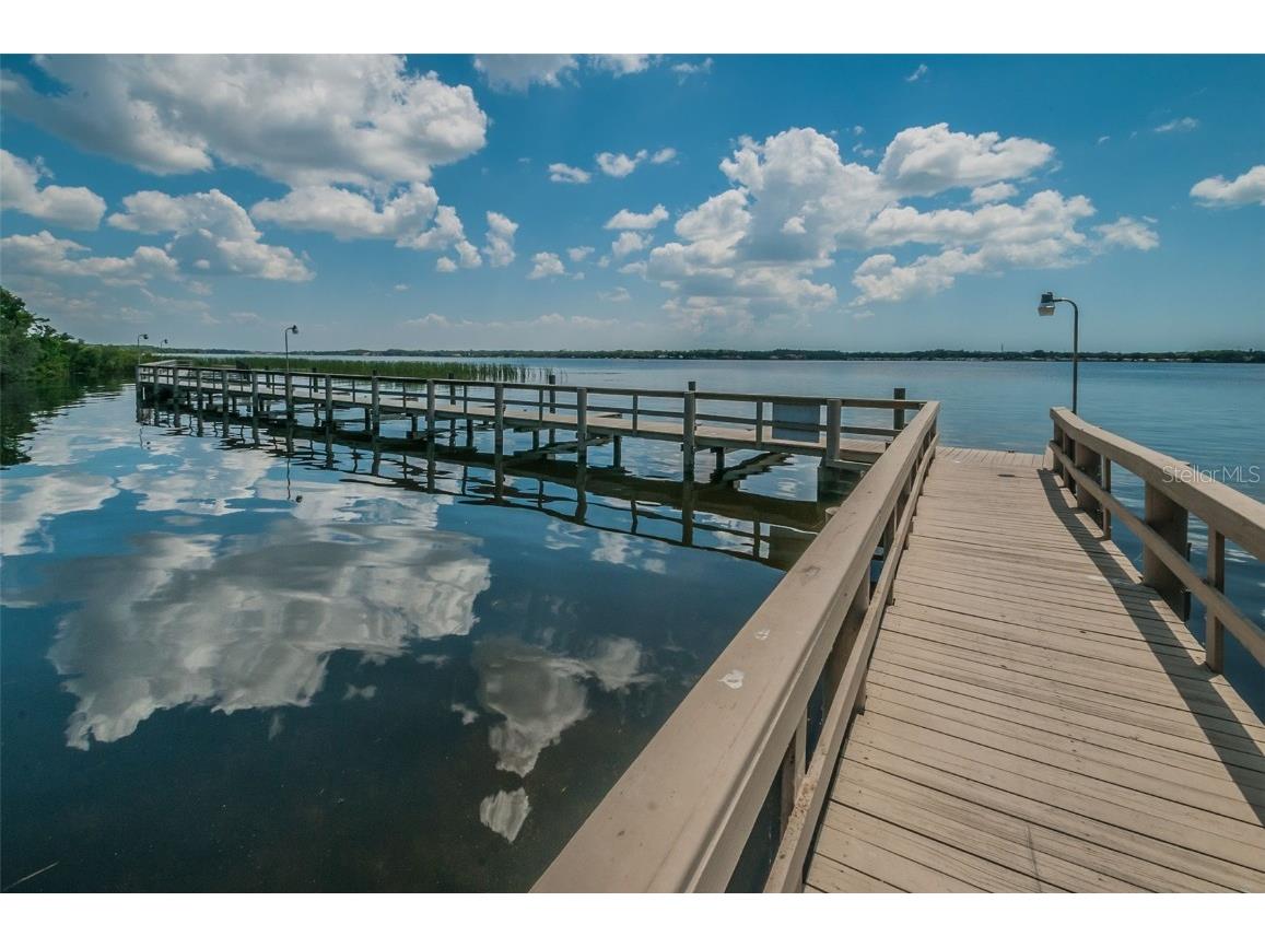 4445 Lansbrook Parkway Palm Harbor FL 34685 - LAKE TARPON U8226327 image37
