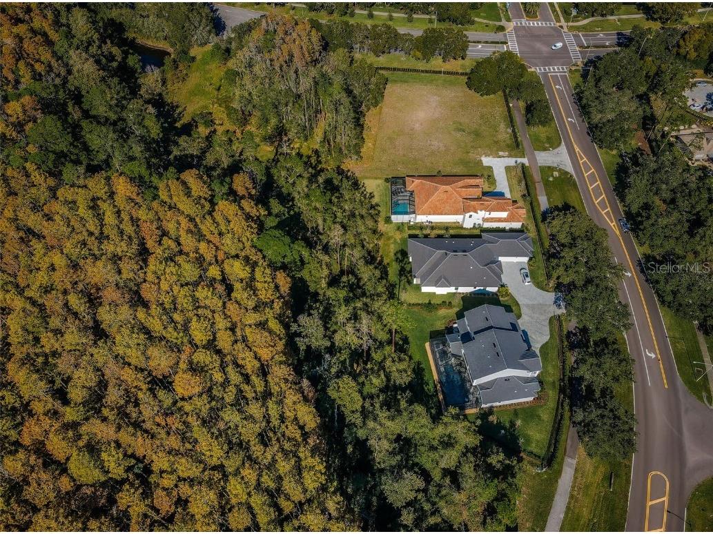 4445 Lansbrook Parkway Palm Harbor FL 34685 - LAKE TARPON U8226327 image4