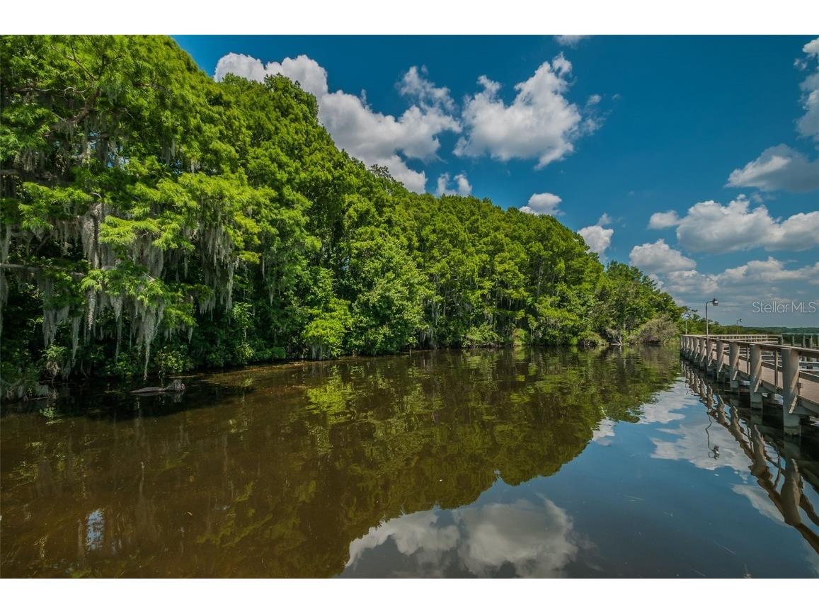 4445 Lansbrook Parkway Palm Harbor FL 34685 - LAKE TARPON U8226327 image41