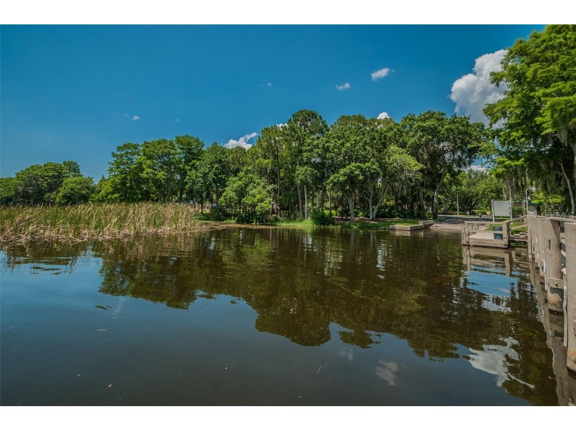 4445 Lansbrook Parkway Palm Harbor FL 34685 - LAKE TARPON U8226327 image43