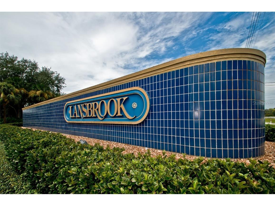 4445 Lansbrook Parkway Palm Harbor FL 34685 - LAKE TARPON U8226327 image46