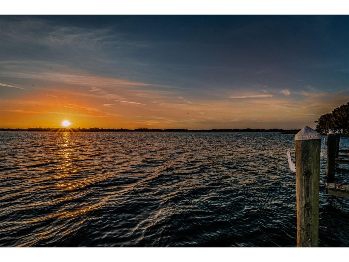 4445 Lansbrook Parkway Palm Harbor FL 34685 - LAKE TARPON U8226327 image56