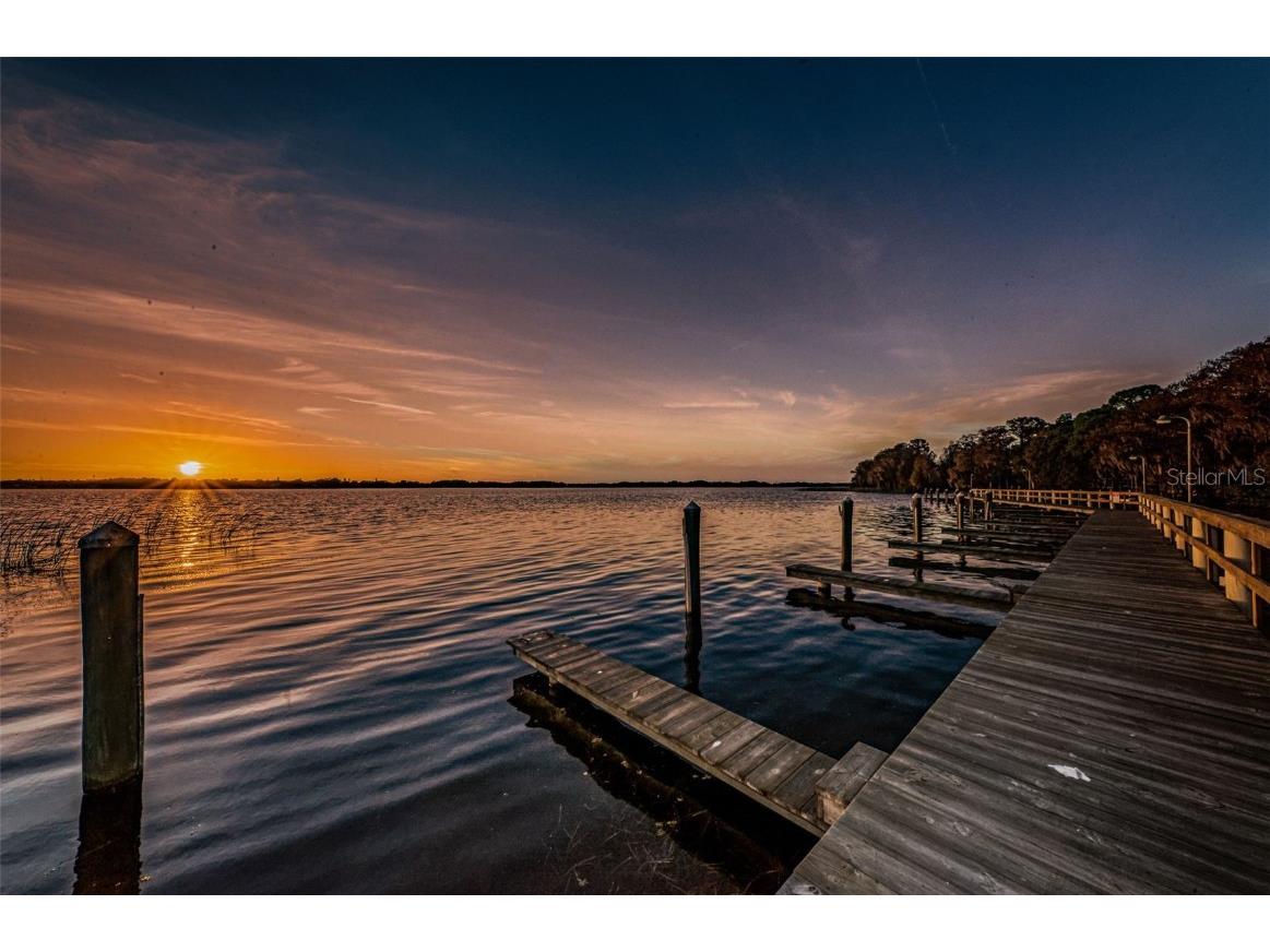 4445 Lansbrook Parkway Palm Harbor FL 34685 - LAKE TARPON U8226327 image57