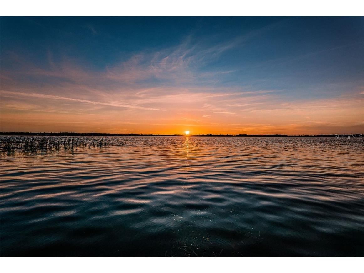 4445 Lansbrook Parkway Palm Harbor FL 34685 - LAKE TARPON U8226327 image58