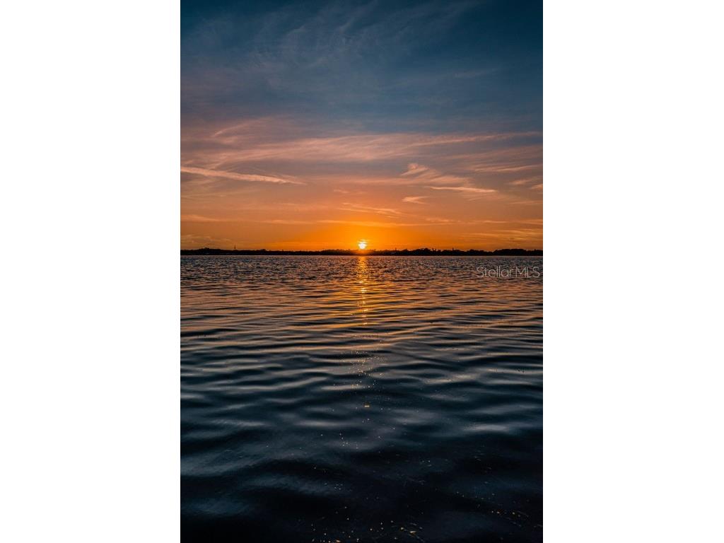 4445 Lansbrook Parkway Palm Harbor FL 34685 - LAKE TARPON U8226327 image59