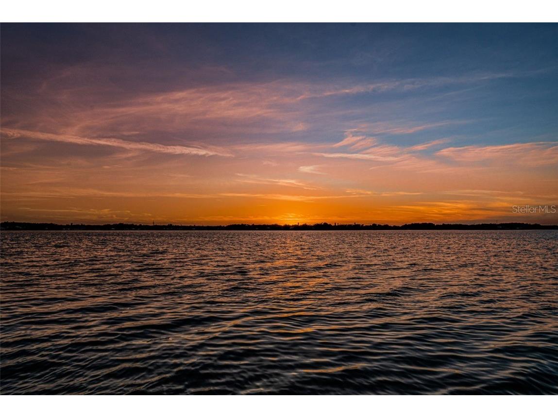 4445 Lansbrook Parkway Palm Harbor FL 34685 - LAKE TARPON U8226327 image61